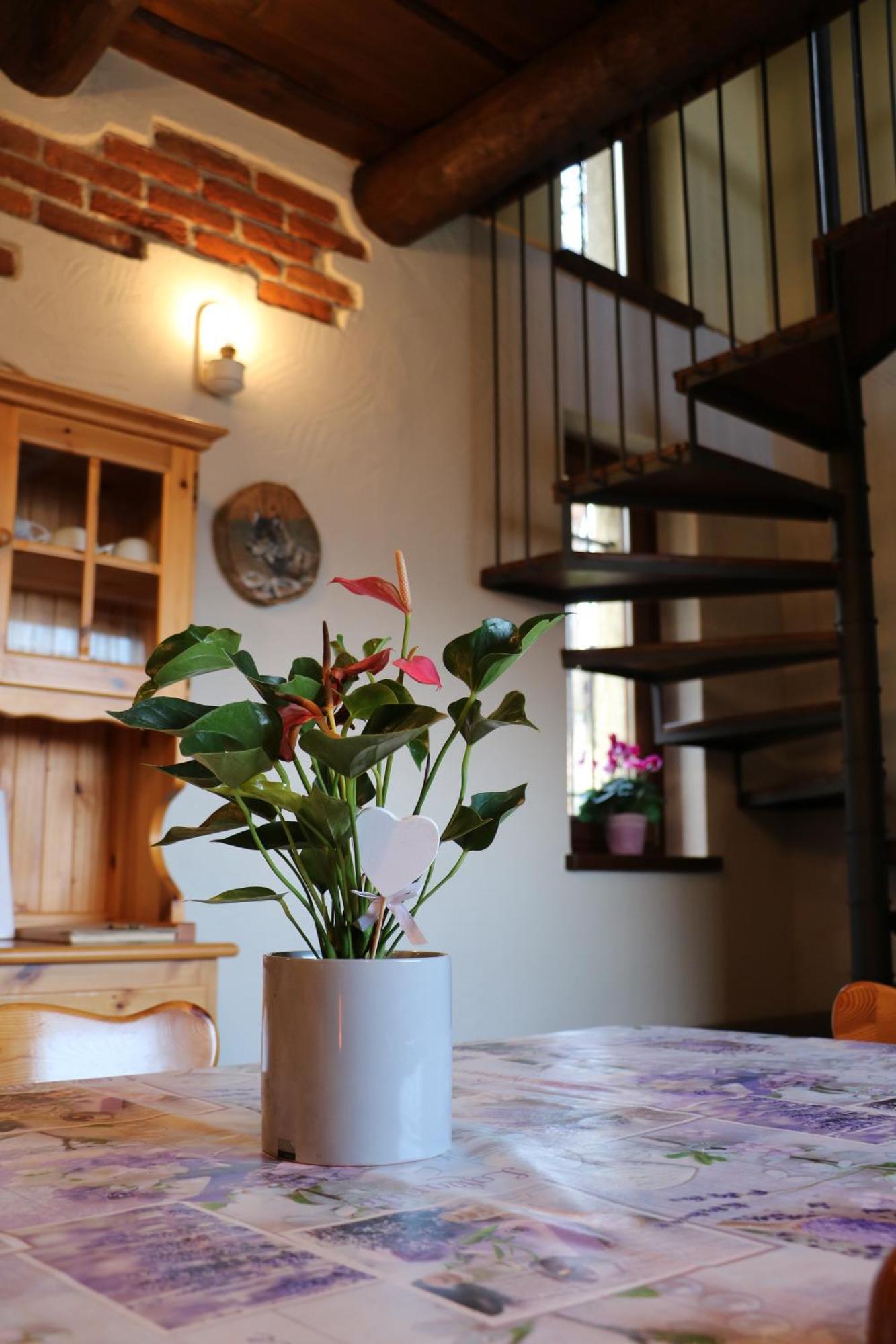 Casa Vacanze Le Primule Peveragno Luaran gambar