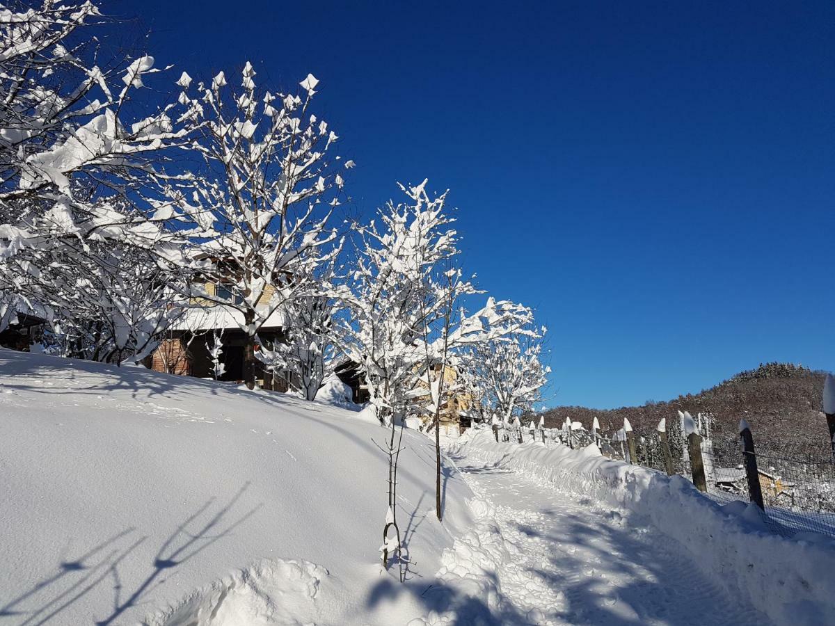 Casa Vacanze Le Primule Peveragno Luaran gambar